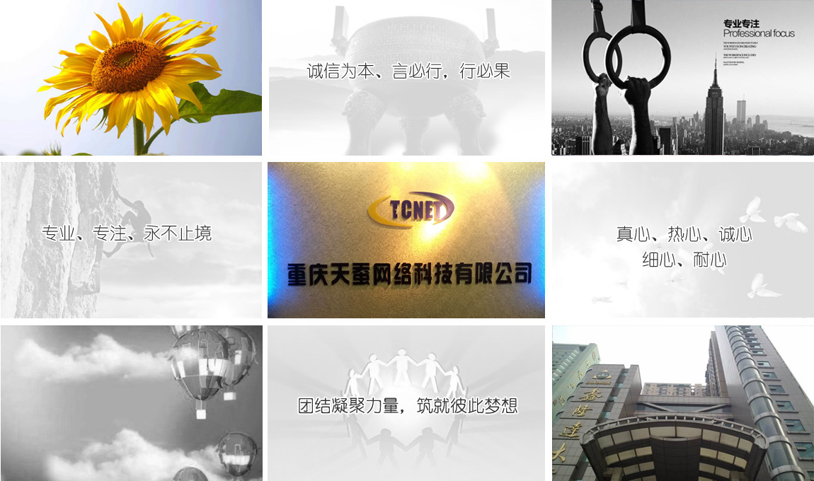 重慶天蠶網(wǎng)絡科技有限公司企業(yè)理念